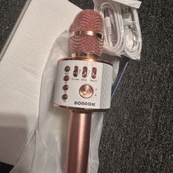 Karaoke Microphone