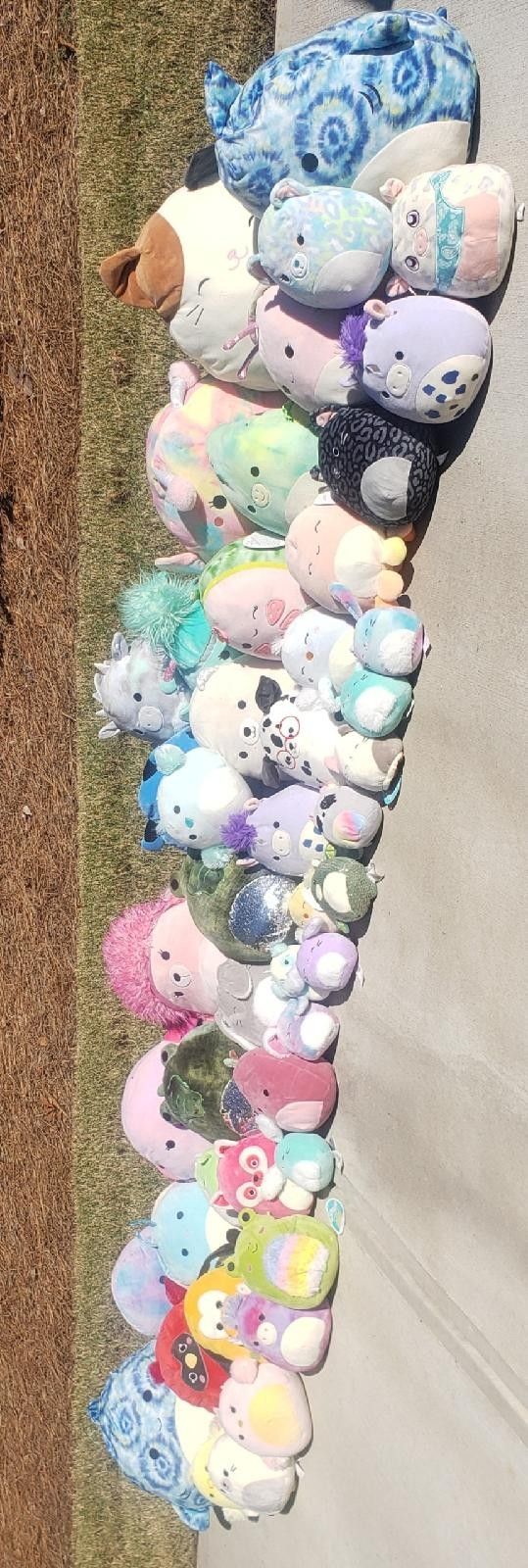 Set Of Squishmallows Approx 50 For One Price