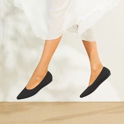 NEW Vivaia Pointed-Toe Ballet Flats (Aria 5°)