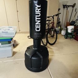 Century wave master Punching Bag (used)