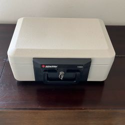 Sentry 1100 Fireproof Safe