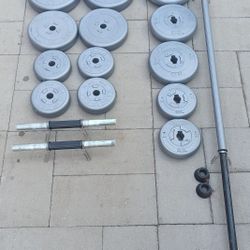 Barbell Weights Plates Challenger Orbatron 