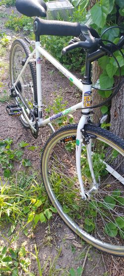 Adult Raleigh 26