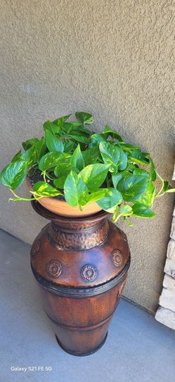 🪴 Golden Pothos Plant + 28" Bronze Metallic Floor Vase | Rustic Home Decor Set