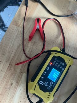 Battery trickle charger