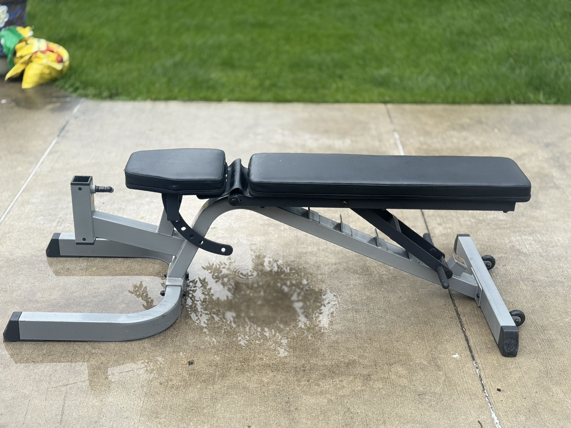 Weight Bench