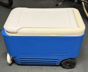 Igloo ice chest -I do not respond to is this still available-