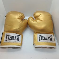 Everlast Boxing Gloves 💥