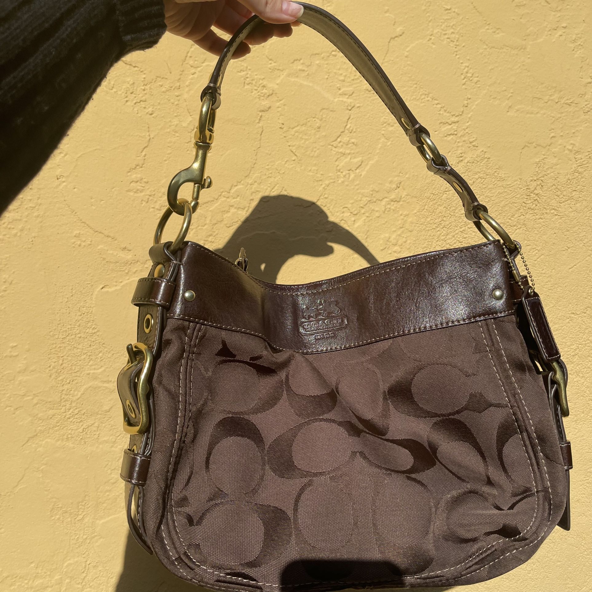 Coach Brown Zoe Purse