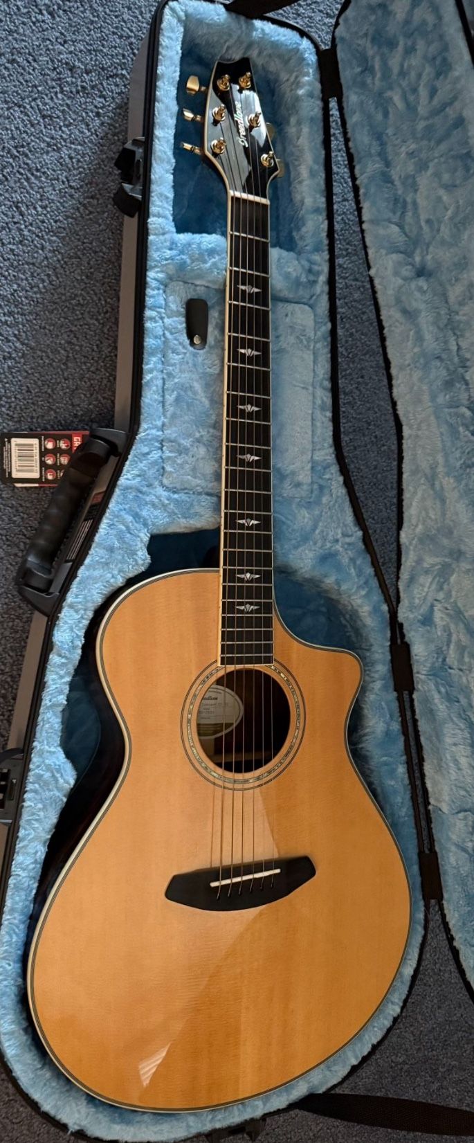 V3 Gator Guitar case