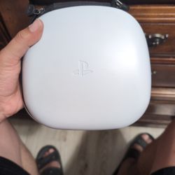 Ps Dual Sense Case Only