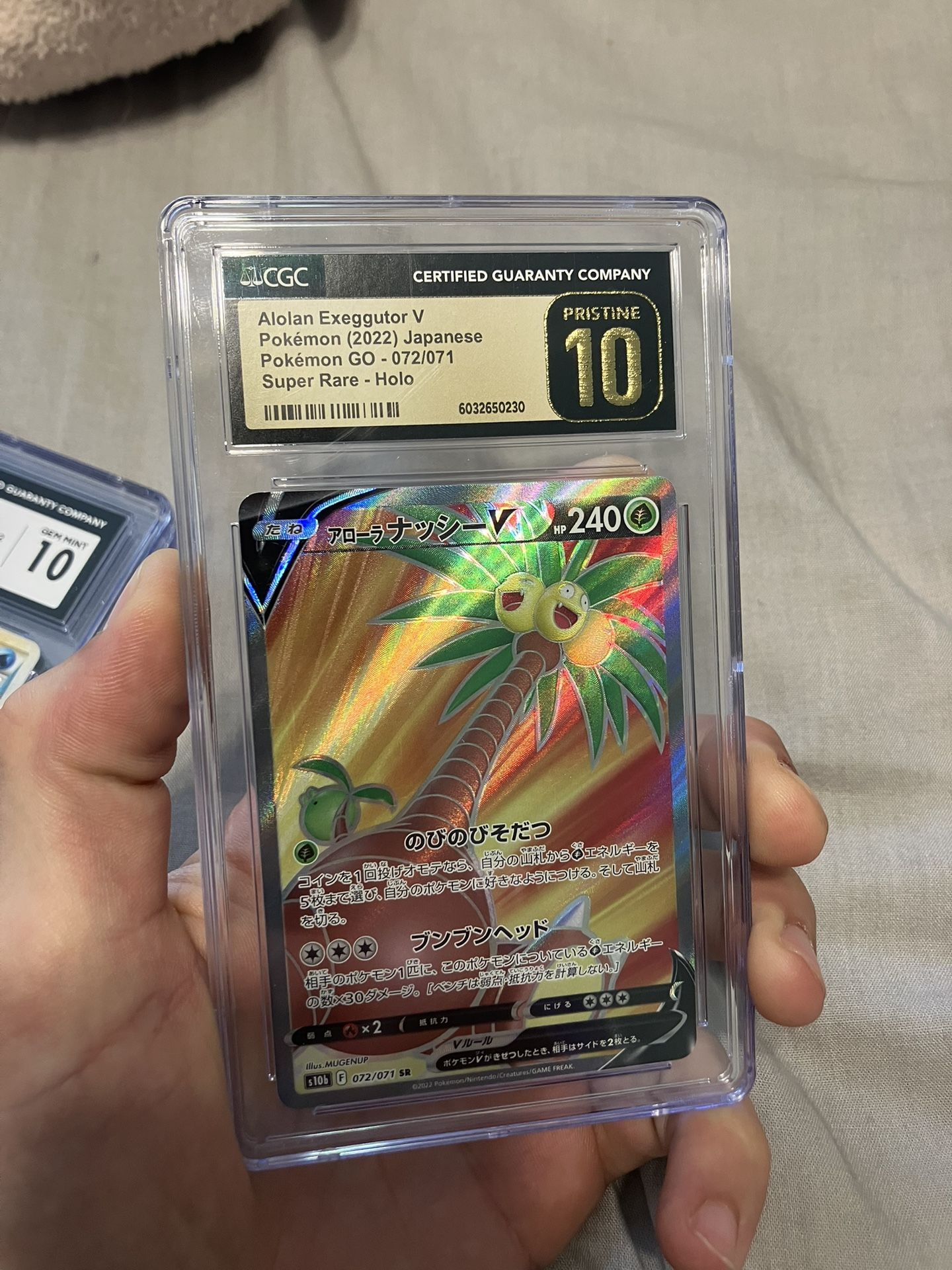 CGC Slabs