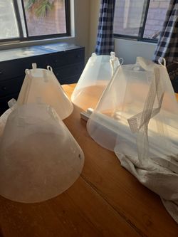 Free plastic Cones for pets