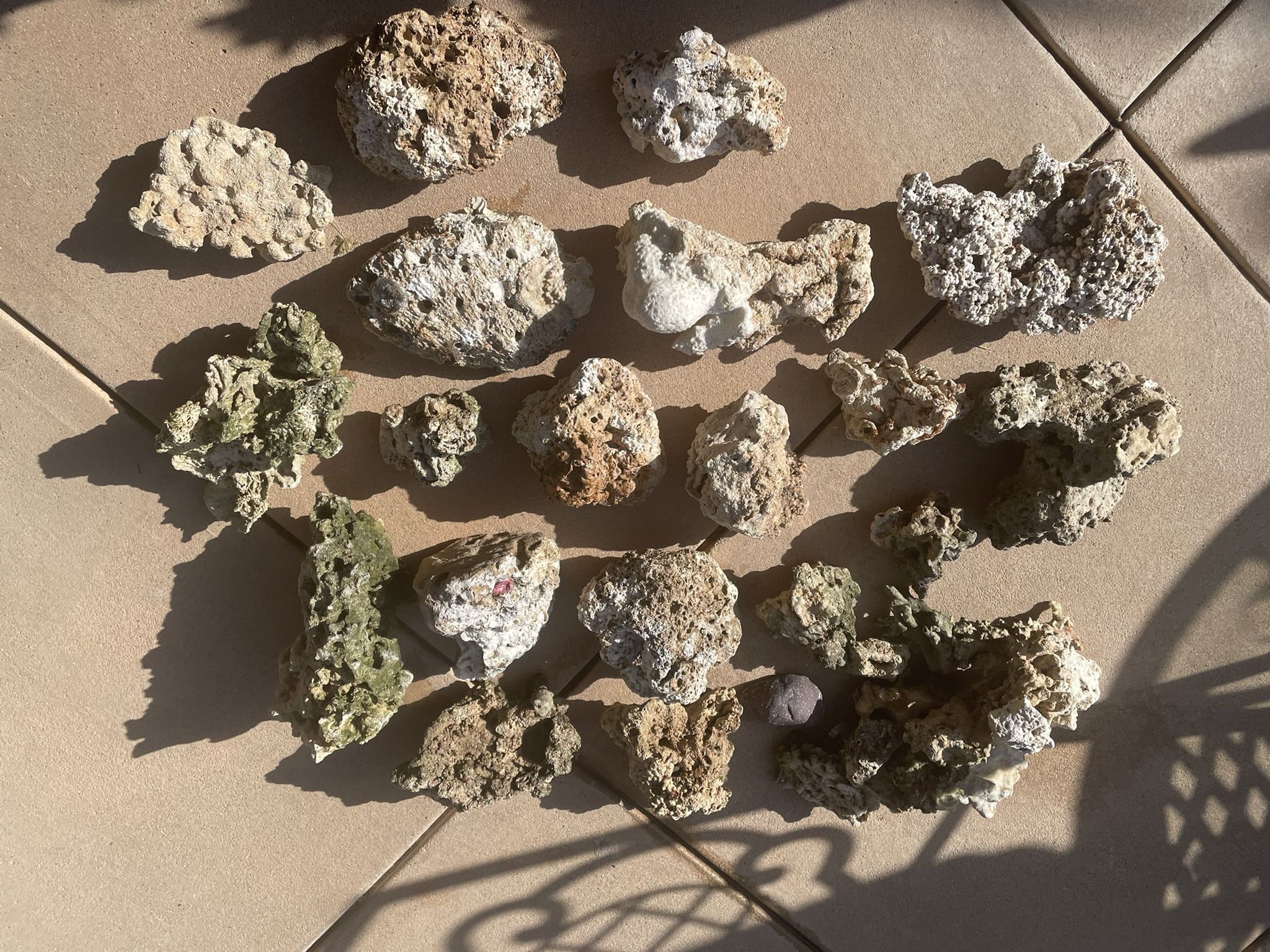 Real Live Rock