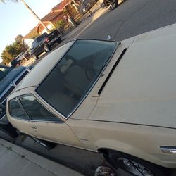 79 Honda Accord