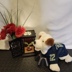 Seahawks 12th man fan dog jersey size small
