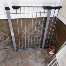 Dog gate