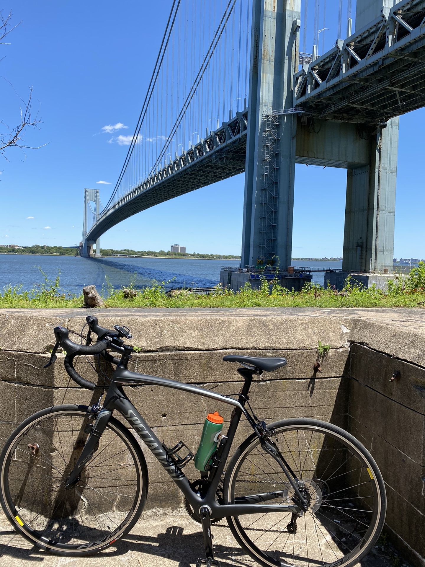 Specialized Roubaix SL4 Full Carbon Road Bike