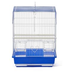 Couple Of cockatiel birds (without cage)