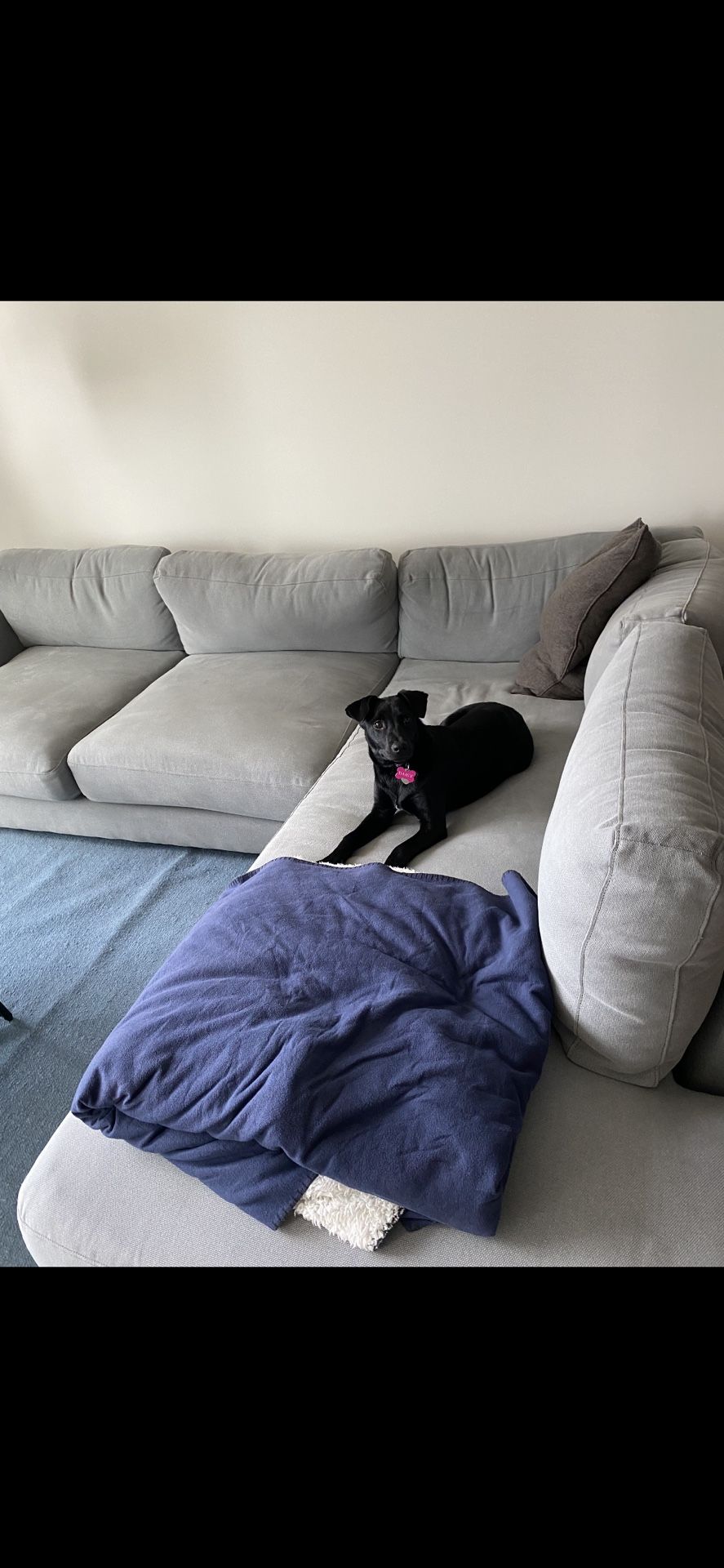Sectional Couch