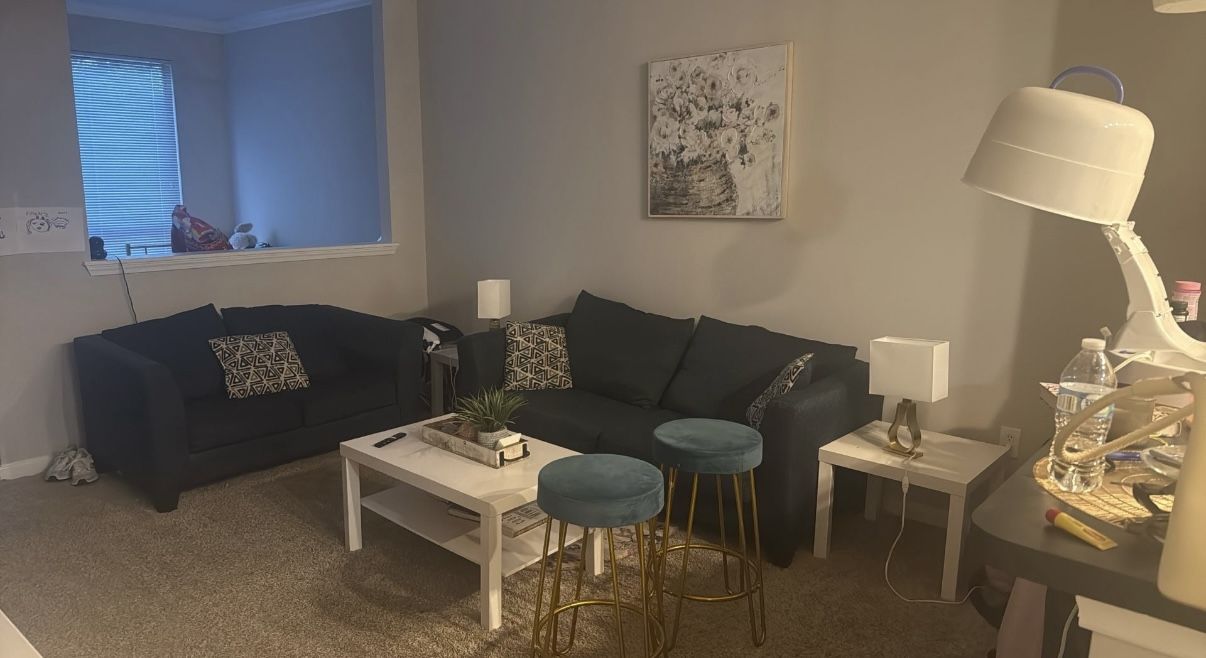 Living Room Set
