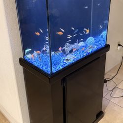 Fish Tank With Stand 