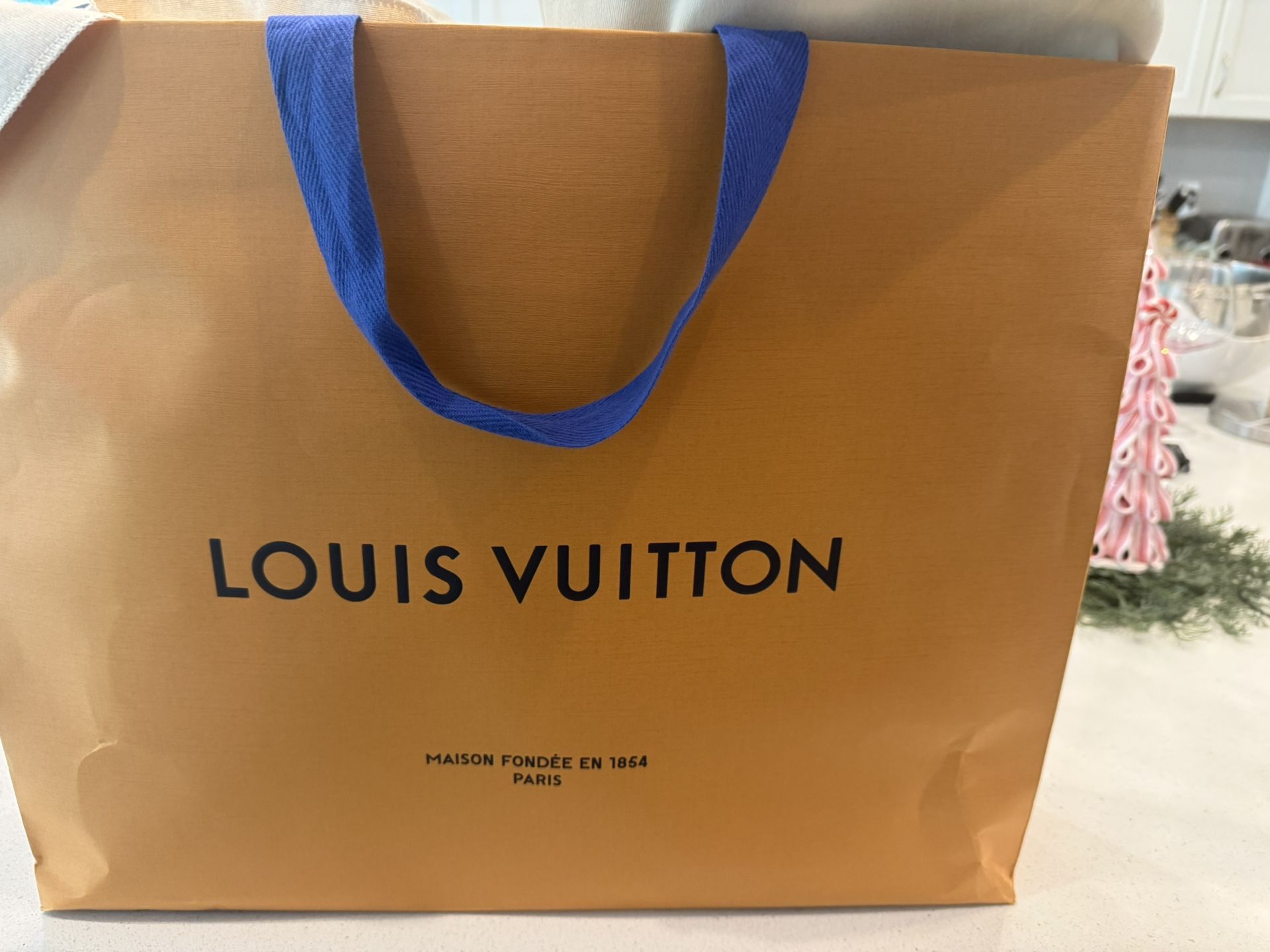 Authentic Louis Vuitton Petit Sac Plat