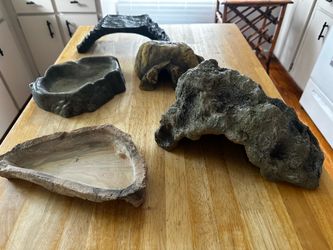 Reptile Decor