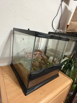 Reptile tank