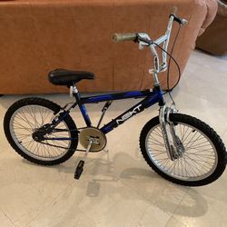NEXT BIKE 20” (negotiable)