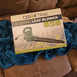 Electric Leaf Blower