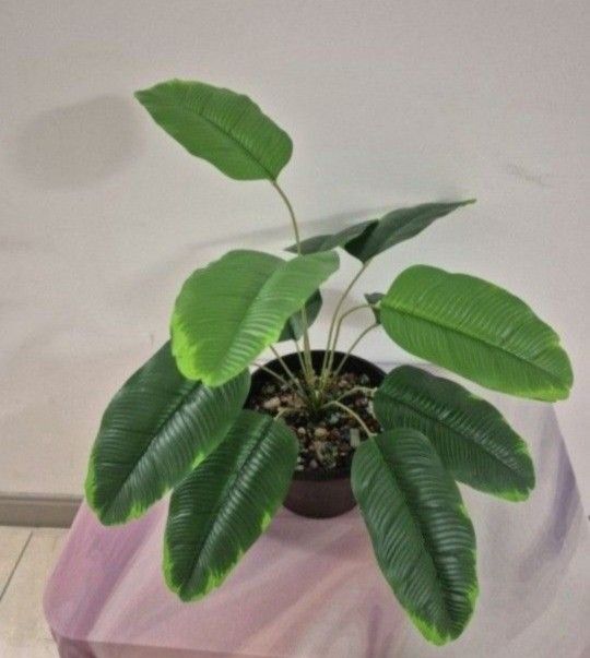 *** NEW LOW PRICE *** Faux Potted Plant Sealed with Mixed Colored Stone @ Lasting Creations