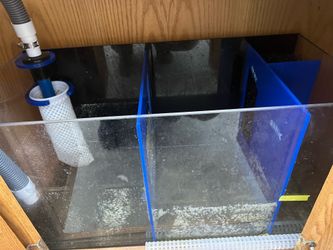 Fish tank reef tank