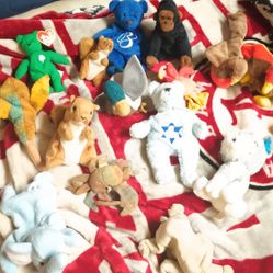 Beanie Baby Collectibles