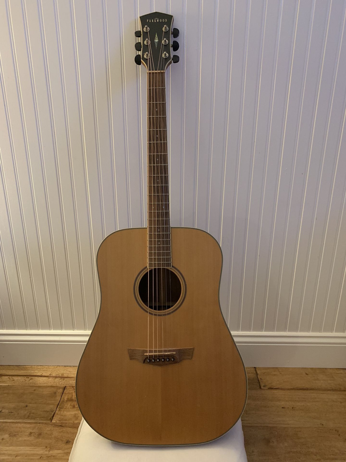 Parkwood Acoustic Guitar PW310M