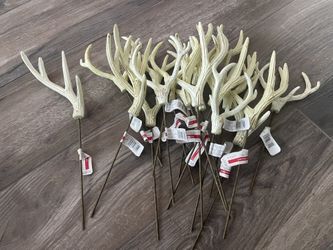 Antlers For Crafts