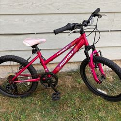 NISHIKI  PUEBLO BIKE
