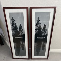 2 Aaron bros Frames 12x36