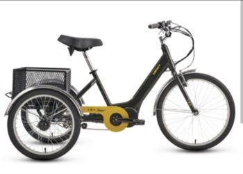 Electric tristarTricycle plus
