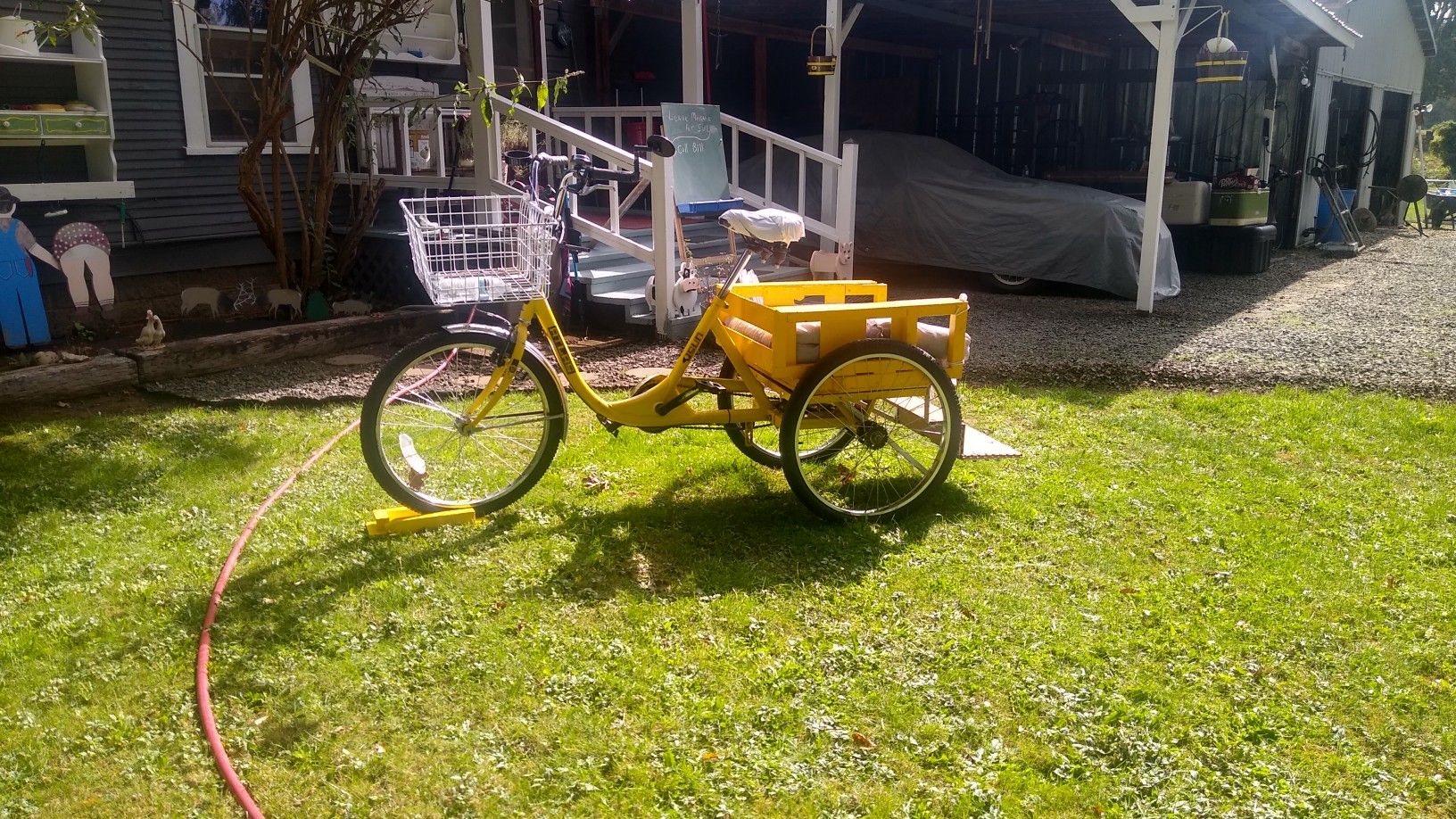Adult tricycle