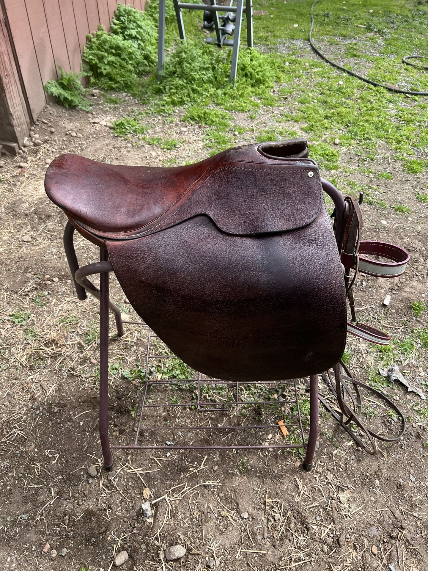Saddleseat Saddle With Bridle