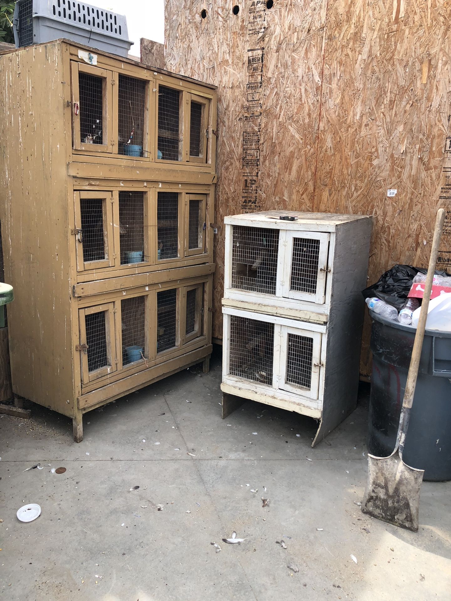 Pigeons cages