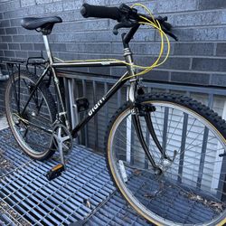 Vintage Giant Iguana Hybrid Road Bike 
