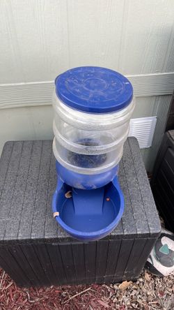 Dog water bowl