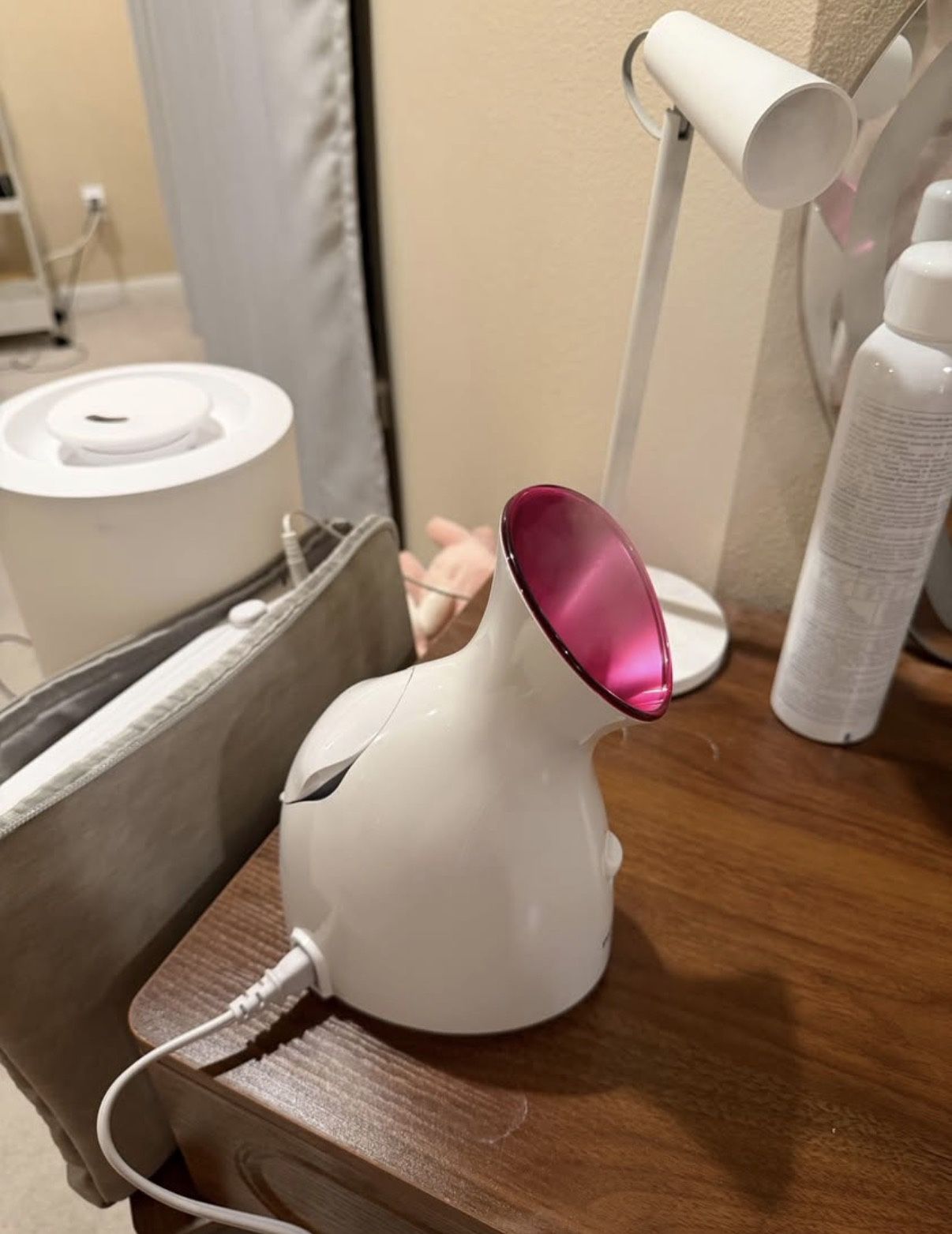 Panasonic Face Steamer