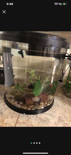 Fish Aquarium  Tank No Fish 