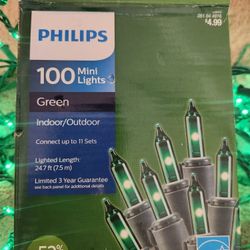 Holiday Lights In Various Colors