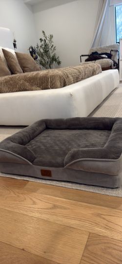Brand New Dog Bed