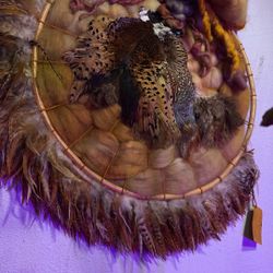 Native American Pheasant Shield 