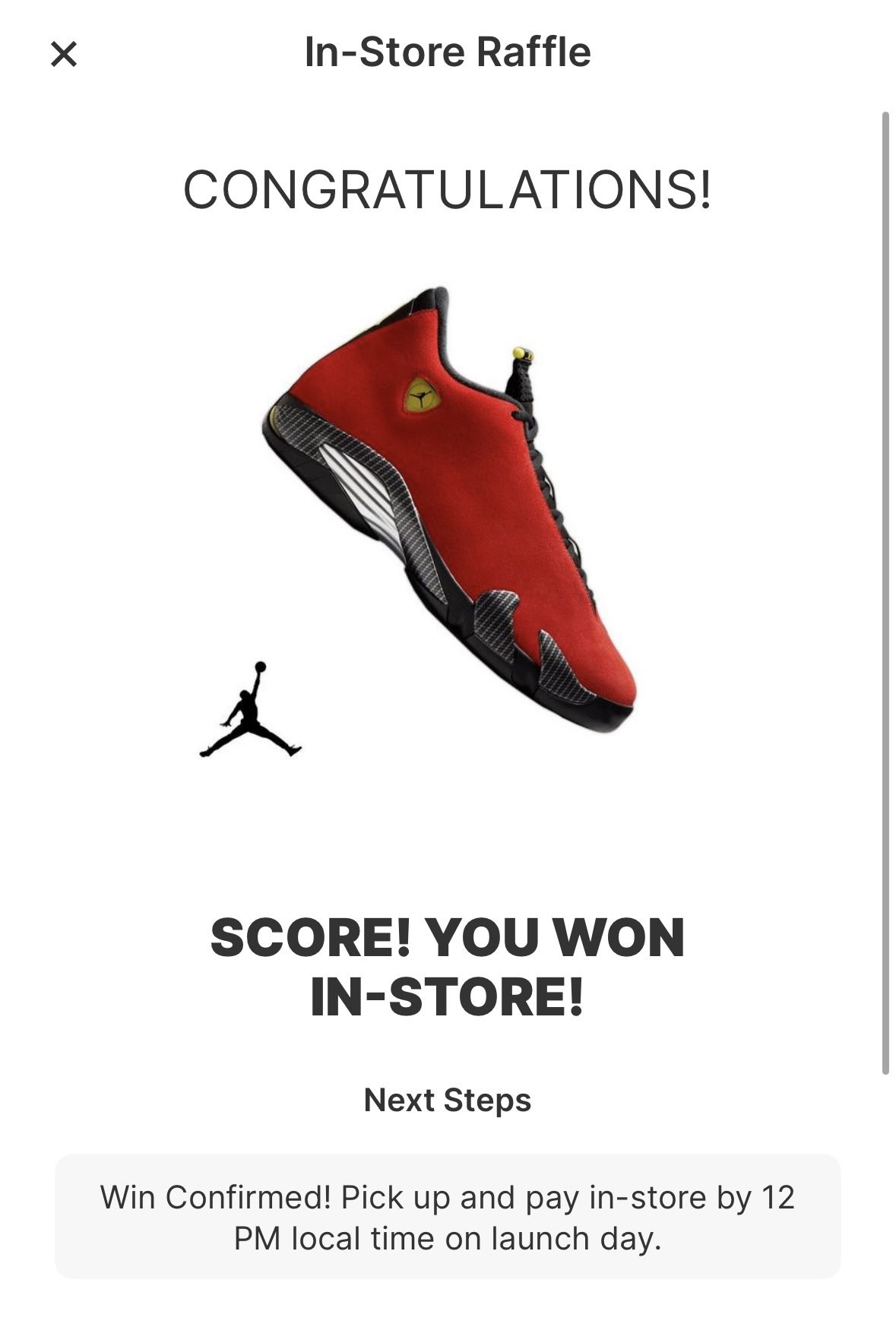 Jordan Retro 14 Ferrari